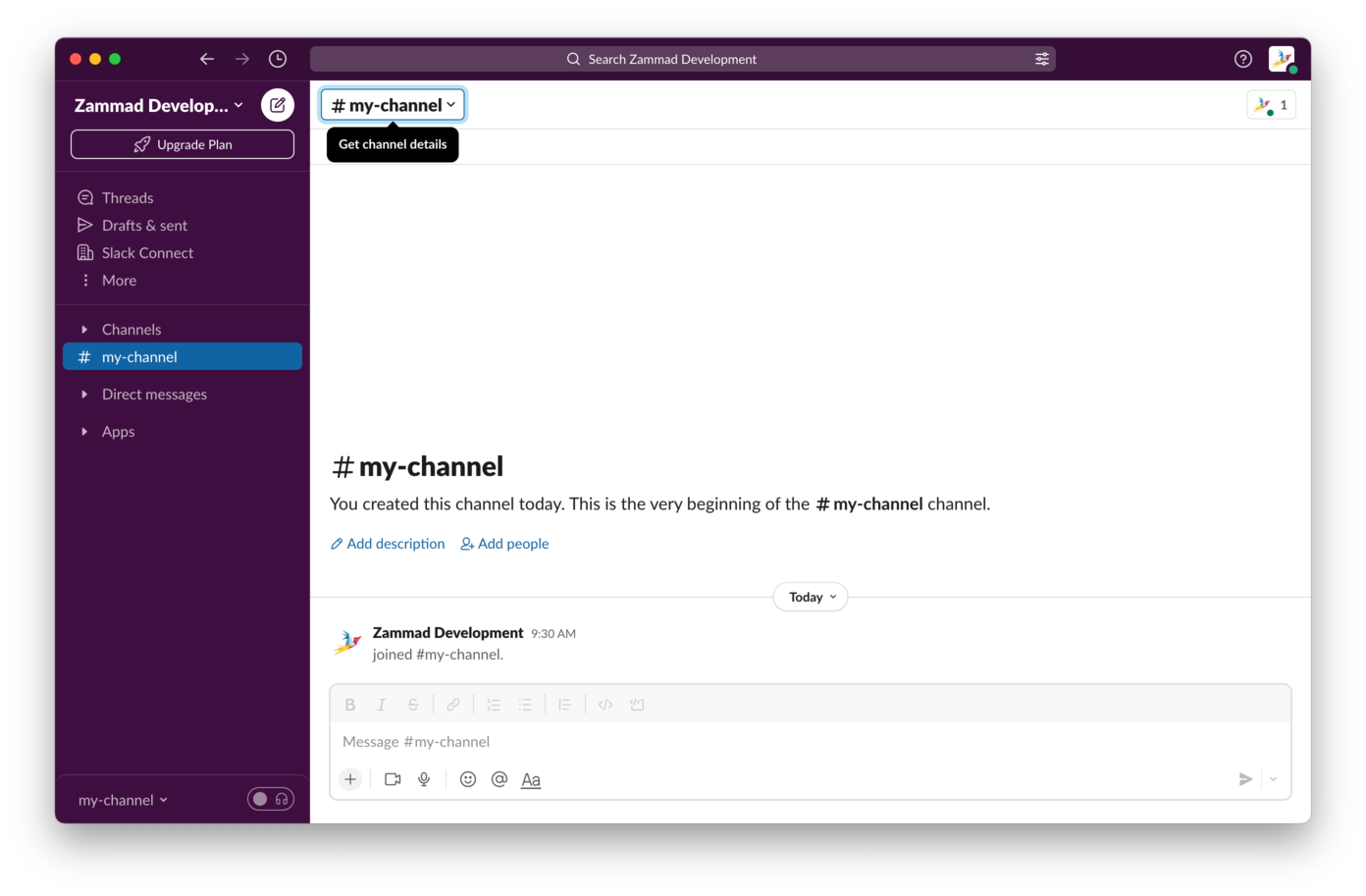 Accessing Channel Details in a Slack Channel