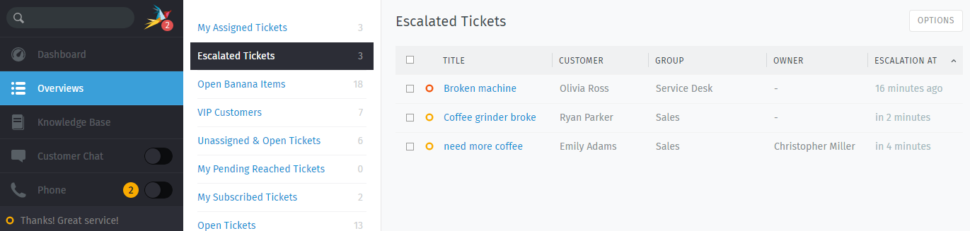 Screenshot der Übersicht mit eskalierten Tickets