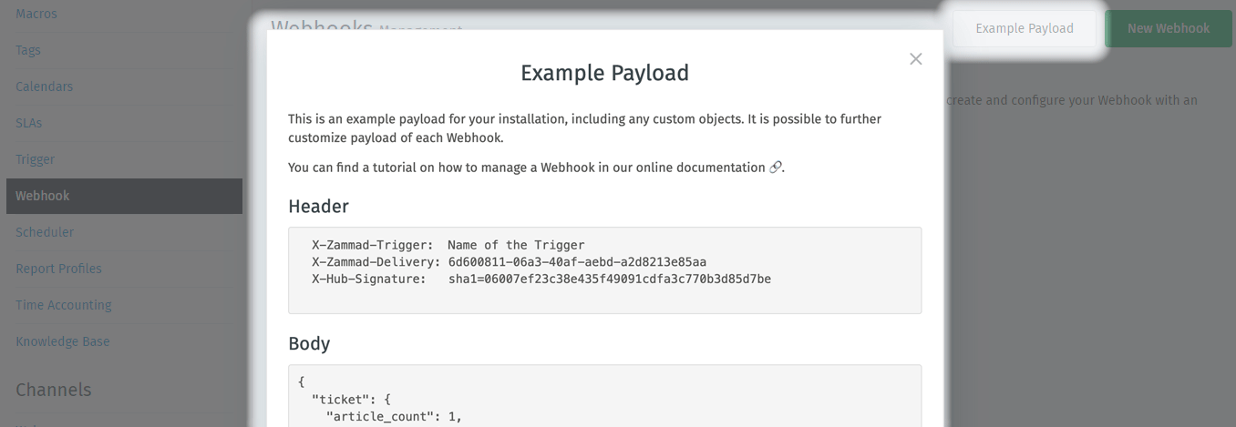 The webhook menu provides a payload for the particular instance in question.