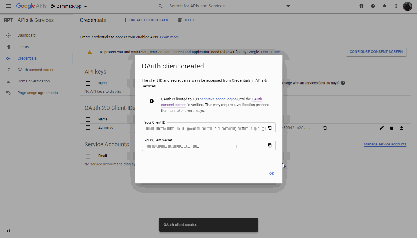 Registering Zammad as a Google OAuth app